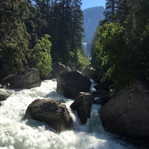 Meet your Posher, Sherry